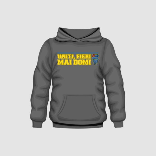 FELPA FIERI MAI DOMI – grigia